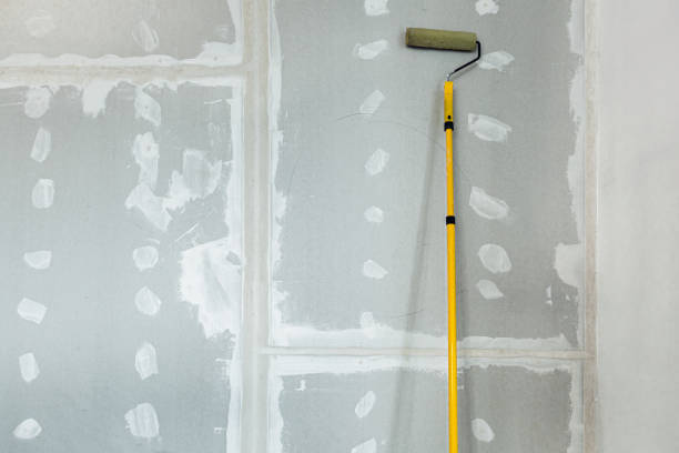 Best Industrial Mold Remediation  in Long View, NC